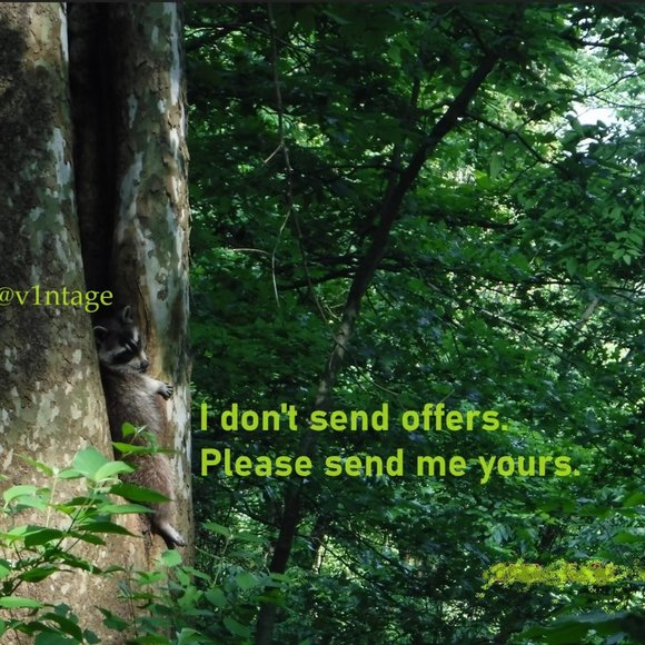 Tommy Hilfiger Women's Pull-on Mid-Rise Pants Navy/Polka Dot - Picture 11 of 12